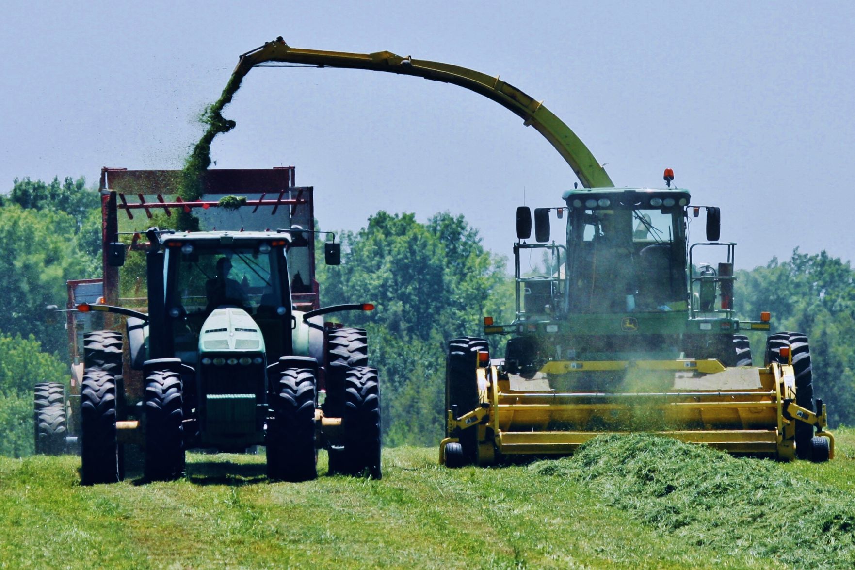 Tractor, wagons harvest forage in field